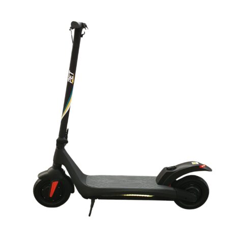 Motorun by PET Dual Motor Electric Scooter