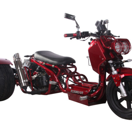 MADDOG 50cc Trike Scooter - IceBear - PST50-19N