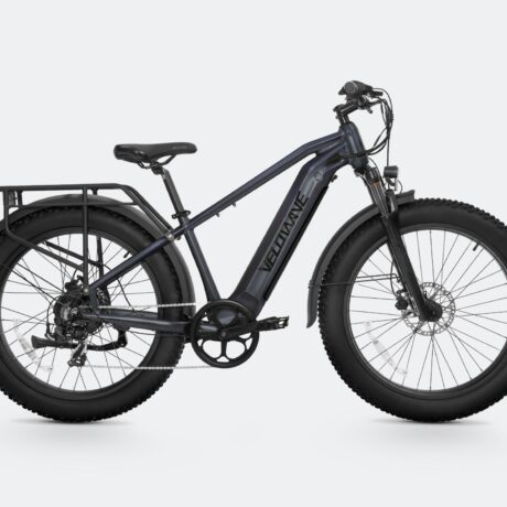 Ranger 2.0 Fat Tire All-Terrain Electric Bike