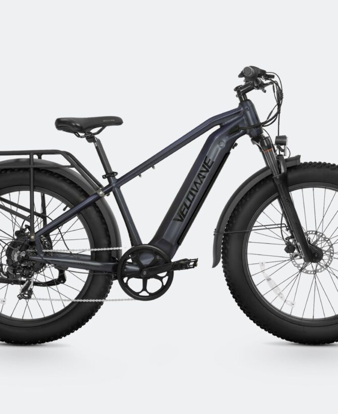 Ranger 2.0 Fat Tire All-Terrain Electric Bike