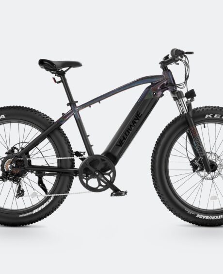 Ranger Fat Tire Electric Bike