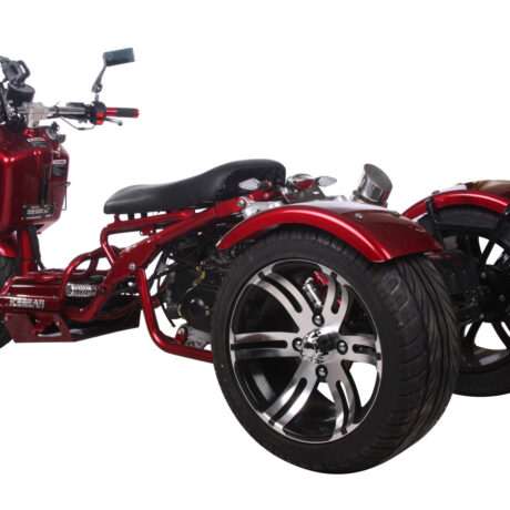 MADDOG 50cc Trike Scooter - IceBear - PST50-19N