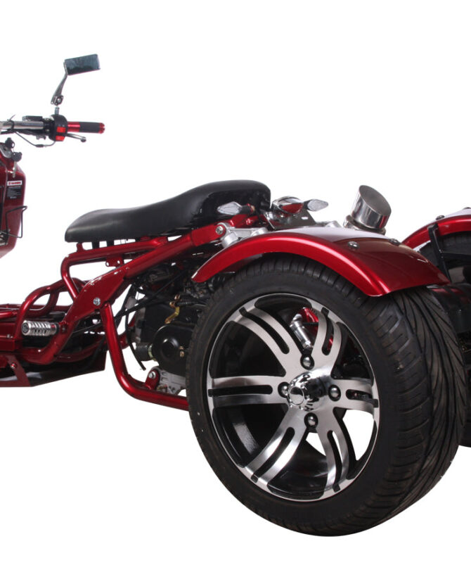 MADDOG 50cc Trike Scooter - IceBear - PST50-19N