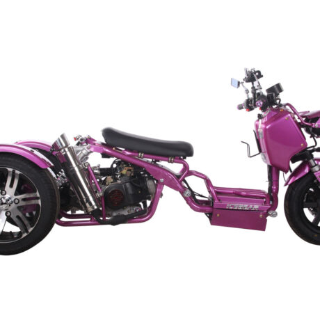 MADDOG Trike Scooter 150cc Automatic | IceBear | PST150-19N