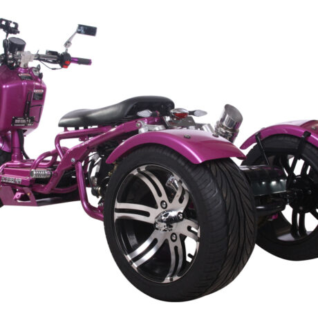 MADDOG Trike Scooter 150cc Automatic | IceBear | PST150-19N