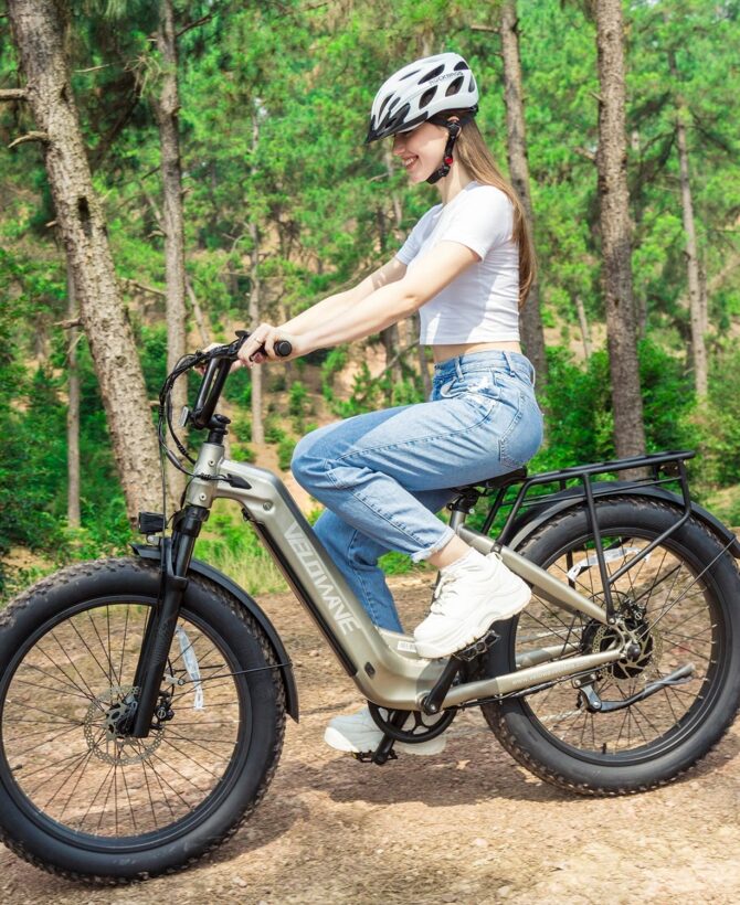 Ranger Step-Thru 2.0 Electric Bike