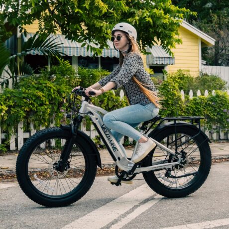 Ranger 2.0 Fat Tire All-Terrain Electric Bike