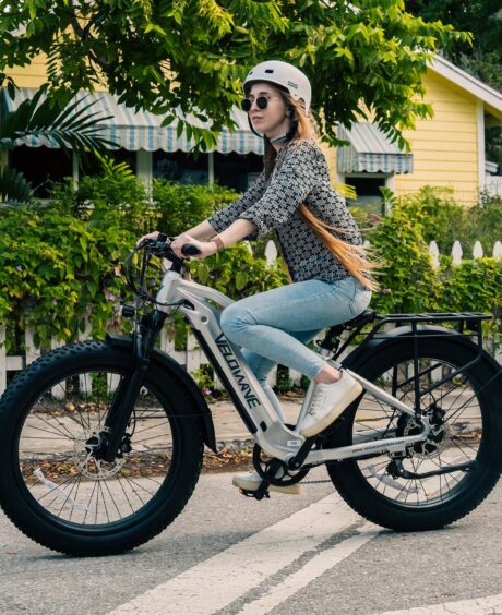 Ranger 2.0 Fat Tire All-Terrain Electric Bike