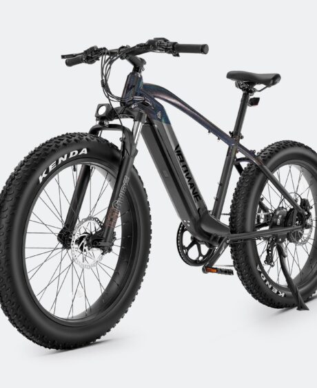 Ranger Fat Tire Electric Bike