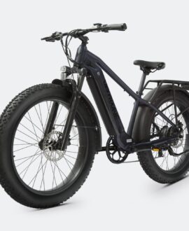 Ranger 2.0 Fat Tire All-Terrain Electric Bike