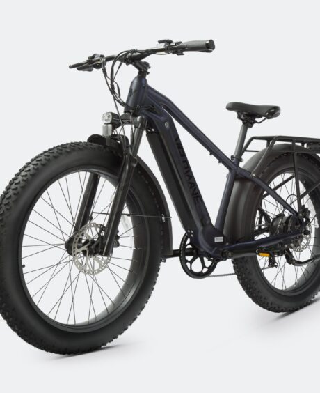 Ranger 2.0 Fat Tire All-Terrain Electric Bike