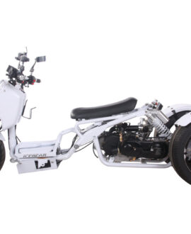 MADDOG 50cc Trike Scooter - IceBear - PST50-19N