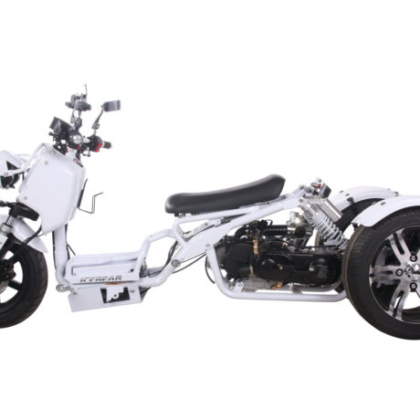 MADDOG 50cc Trike Scooter - IceBear - PST50-19N