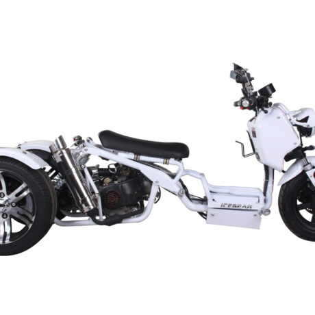 MADDOG Trike Scooter 150cc Automatic | IceBear | PST150-19N