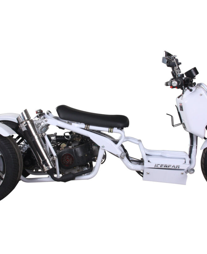 MADDOG Trike Scooter 150cc Automatic | IceBear | PST150-19N