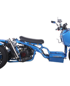 MADDOG 50cc Trike Scooter - IceBear - PST50-19N