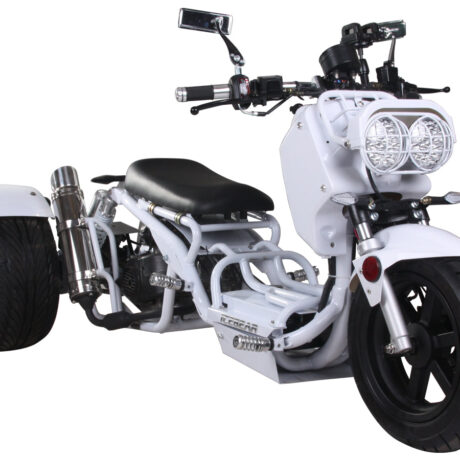 MADDOG 50cc Trike Scooter - IceBear - PST50-19N