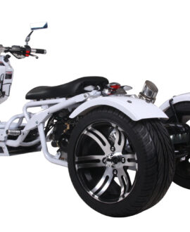 MADDOG 50cc Trike Scooter - IceBear - PST50-19N