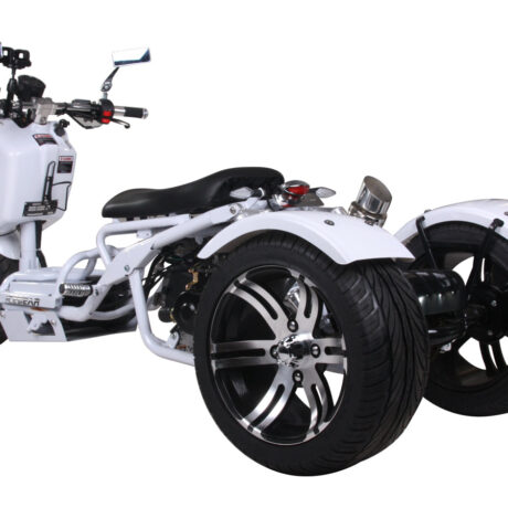 MADDOG 50cc Trike Scooter - IceBear - PST50-19N