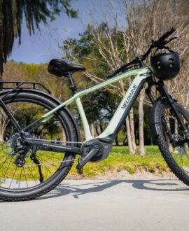 Swift M Mid-Drive Electric Bike