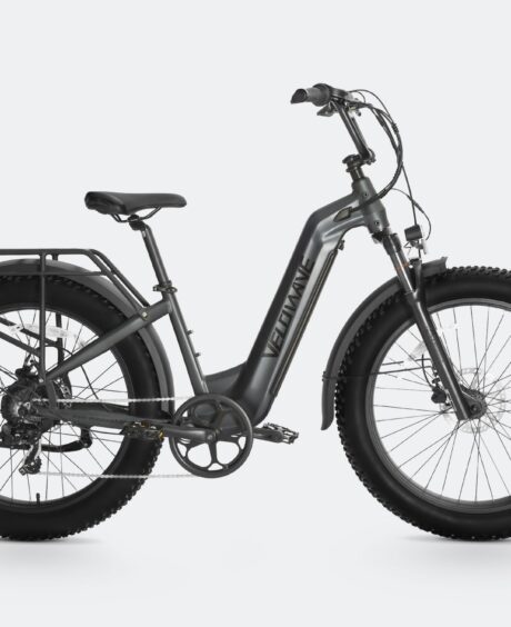 Ranger Step-Thru 2.0 Electric Bike