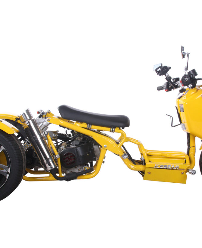 MADDOG Trike Scooter 150cc Automatic | IceBear | PST150-19N