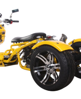 MADDOG Trike Scooter 150cc Automatic | IceBear | PST150-19N