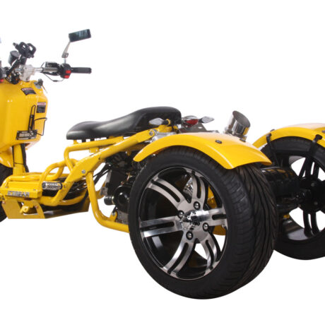 MADDOG Trike Scooter 150cc Automatic | IceBear | PST150-19N