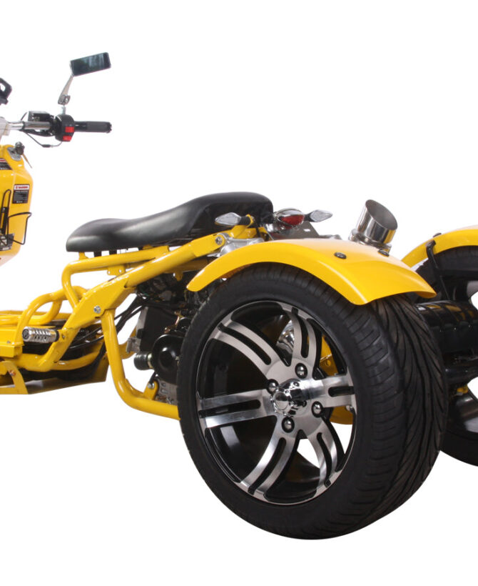 MADDOG Trike Scooter 150cc Automatic | IceBear | PST150-19N