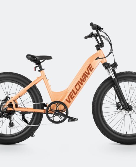 Rover Step-Thru Electric Bike