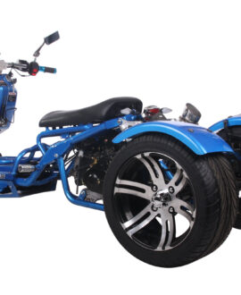 MADDOG Trike Scooter 150cc Automatic | IceBear | PST150-19N