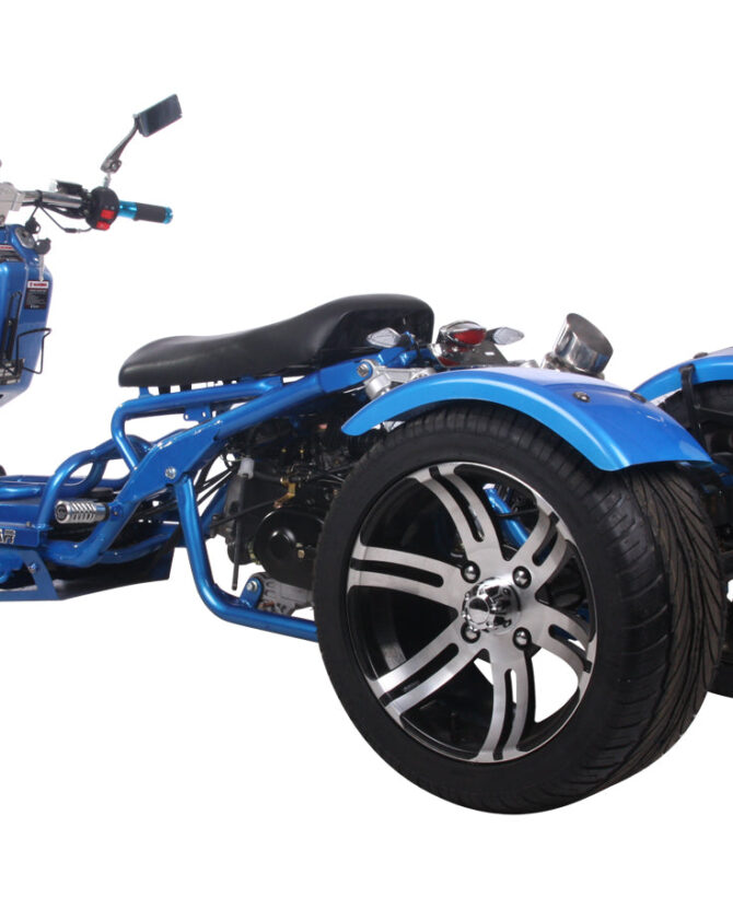 MADDOG Trike Scooter 150cc Automatic | IceBear | PST150-19N