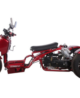 MADDOG 50cc Trike Scooter - IceBear - PST50-19N