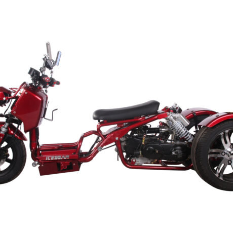 MADDOG 50cc Trike Scooter - IceBear - PST50-19N