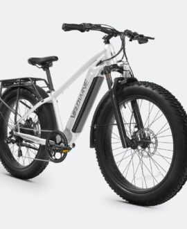 Ranger 2.0 Fat Tire All-Terrain Electric Bike