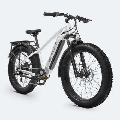 Ranger 2.0 Fat Tire All-Terrain Electric Bike