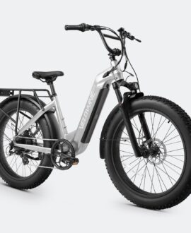 Ranger Step-Thru 2.0 Electric Bike