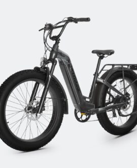 Ranger Step-Thru 2.0 Electric Bike