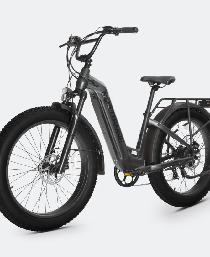 Ranger Step-Thru 2.0 Electric Bike