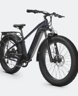 Ranger 2.0 Fat Tire All-Terrain Electric Bike