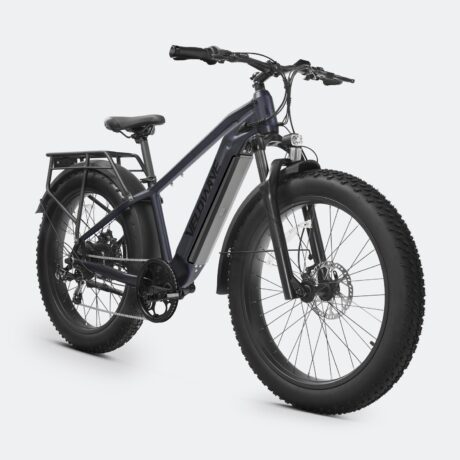 Ranger 2.0 Fat Tire All-Terrain Electric Bike