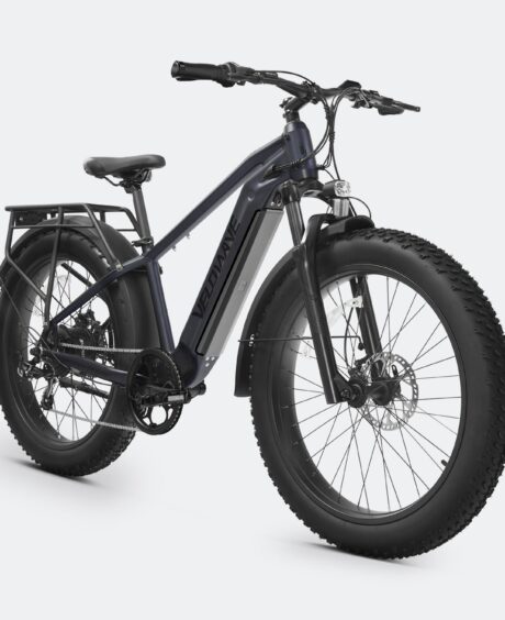 Ranger 2.0 Fat Tire All-Terrain Electric Bike