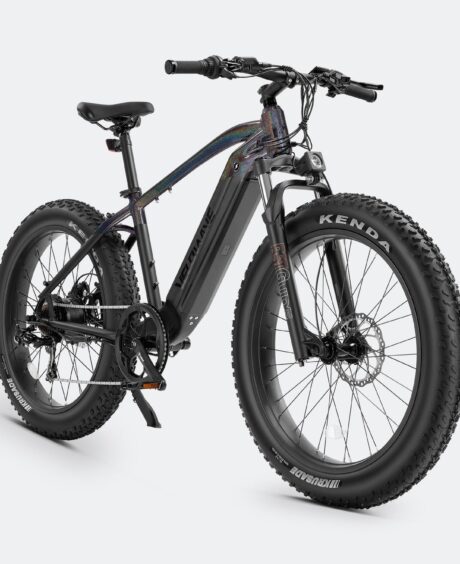 Ranger Fat Tire Electric Bike