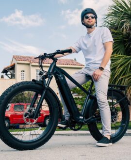 Ranger 2.0 Fat Tire All-Terrain Electric Bike