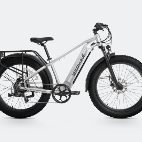 Ranger 2.0 Fat Tire All-Terrain Electric Bike