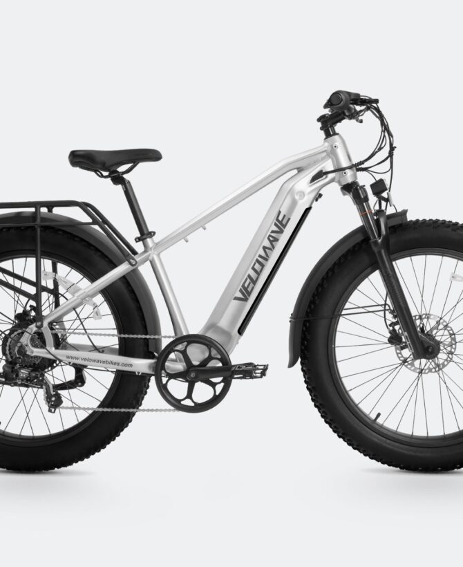 Ranger 2.0 Fat Tire All-Terrain Electric Bike