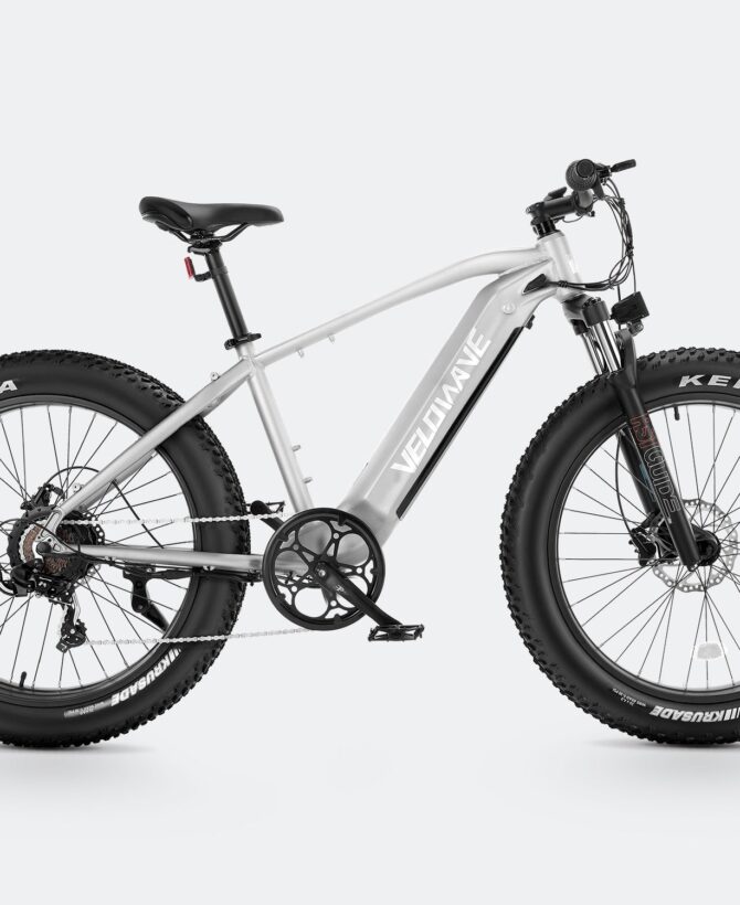 Ranger Fat Tire Electric Bike