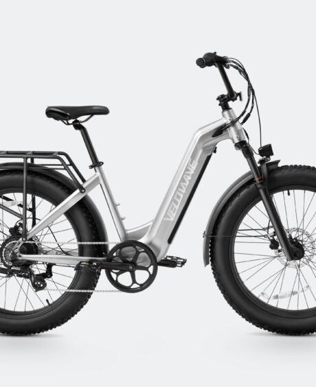 Ranger Step-Thru 2.0 Electric Bike