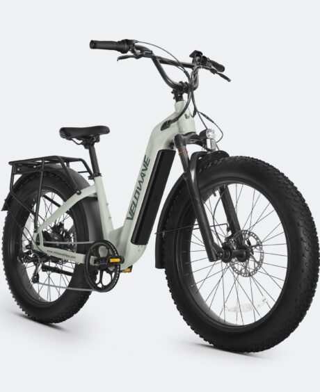 Ranger Step-Thru 2.0 Electric Bike