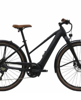 Bulls Urban EVO 10 Step-Thru